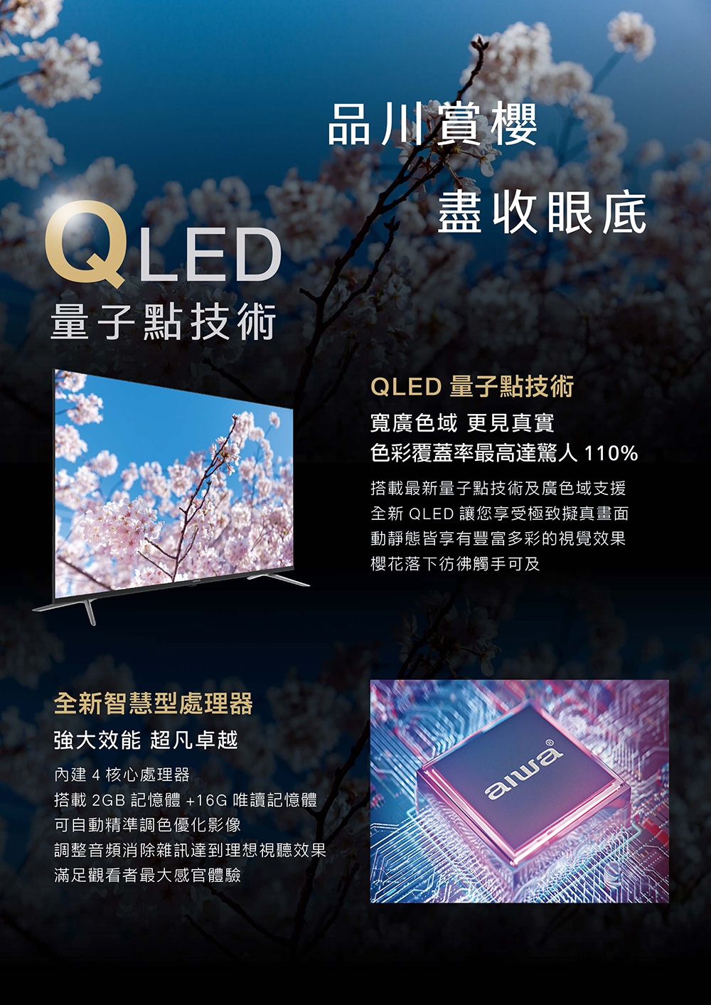 AIWA愛華 AI-75QL25 - 詳情6