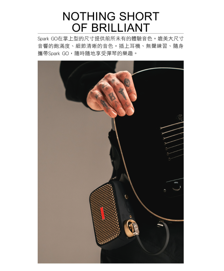 Positive Grid Spark GO - 詳情7