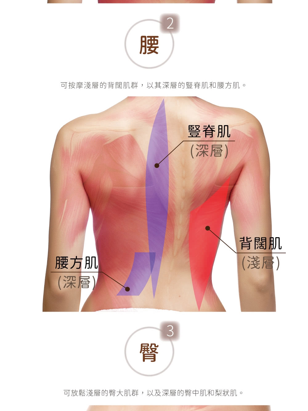 Lourdes日本 AX-HPL368 - 詳情10
