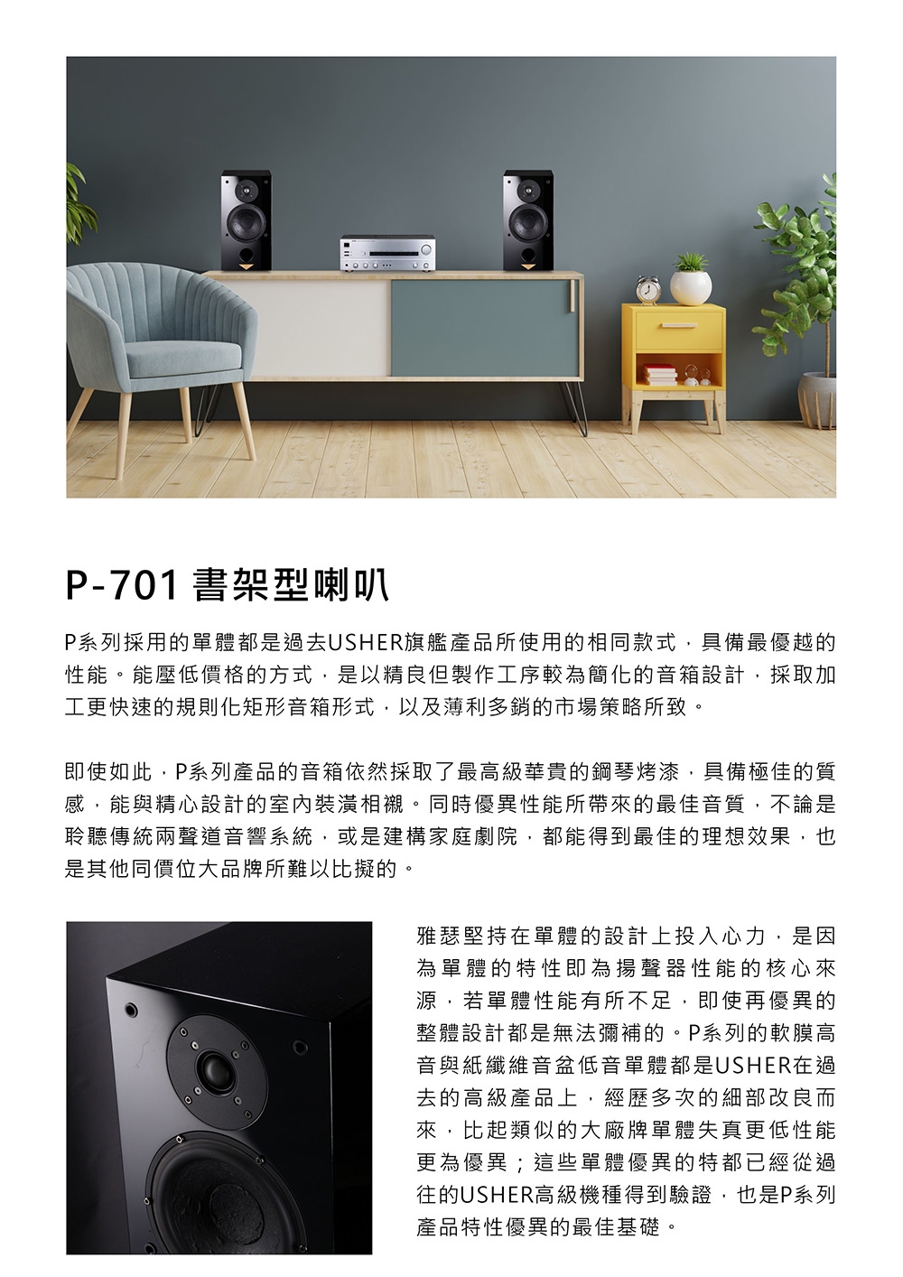 USHER雅瑟 P-701 - 詳情2