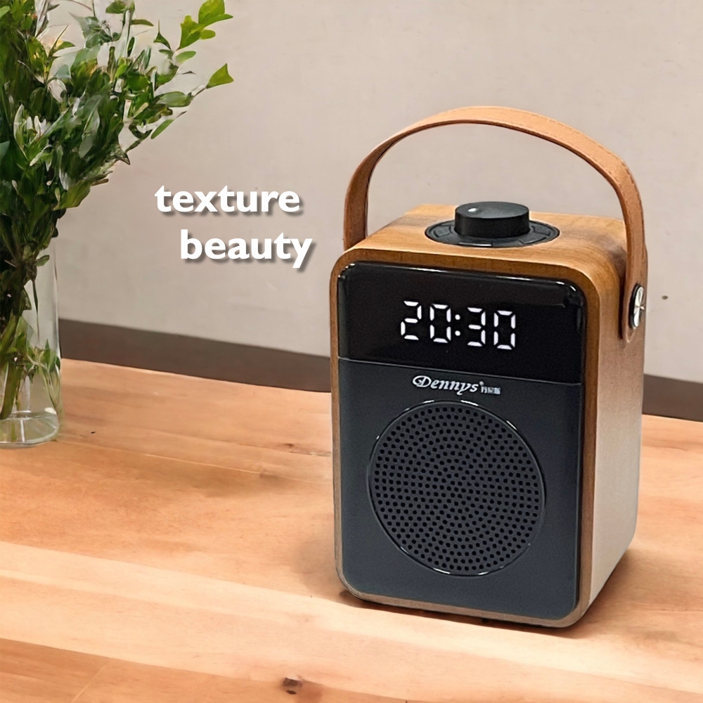 Dennys WS-D1 - 詳情10