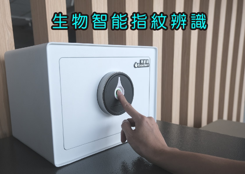 Excellent阿波羅 F1201S - 詳情8