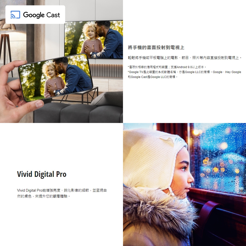 Panasonic國際牌 TN-43S60AGT - 詳情12