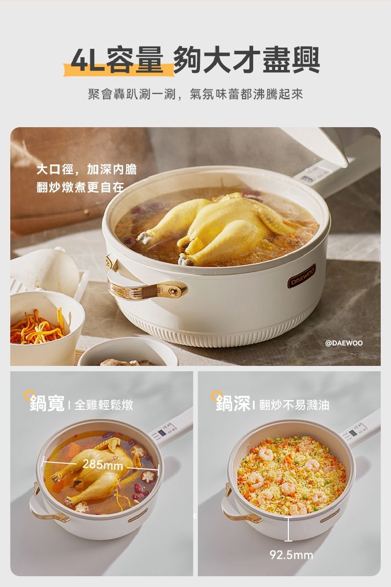 DAEWOO大宇 DW-EC001 - 詳情12