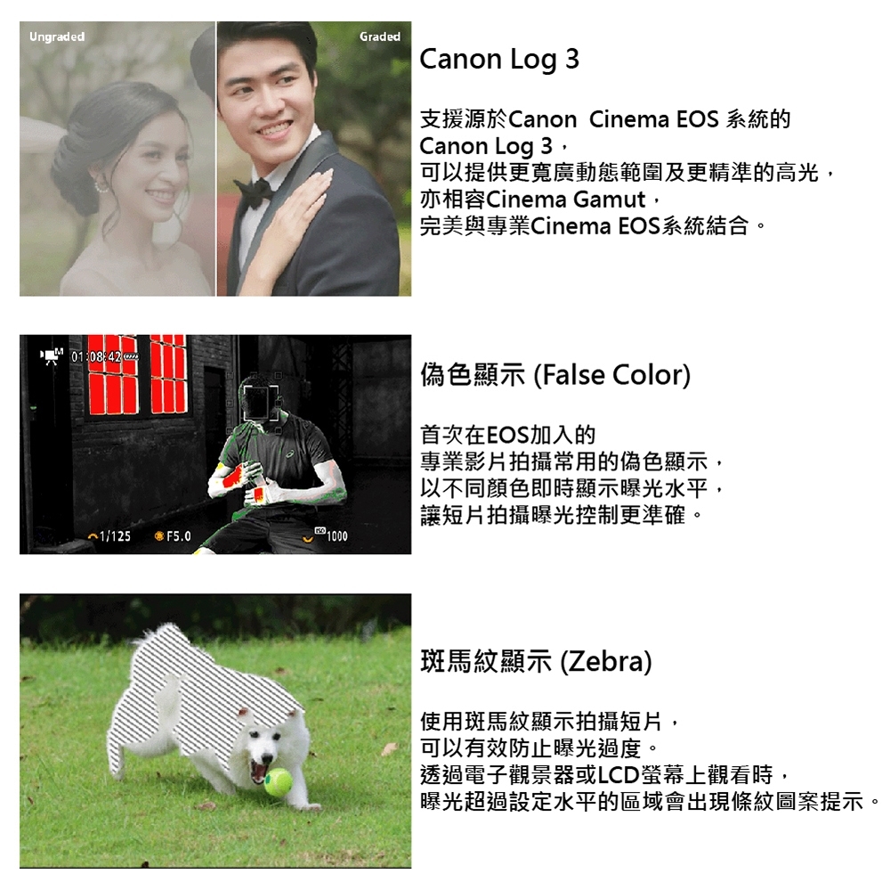 Canon佳能 EOS R6 - 詳情8