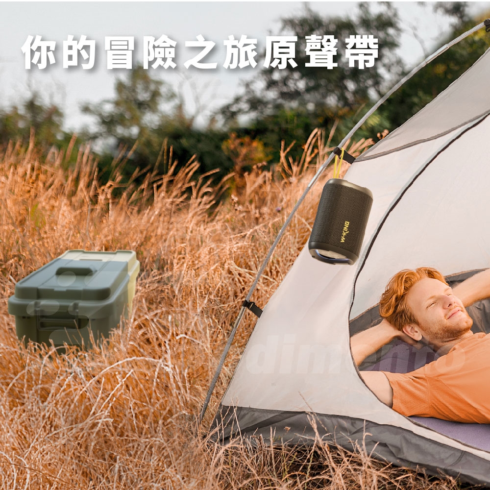 W-KING D110 - 詳情9