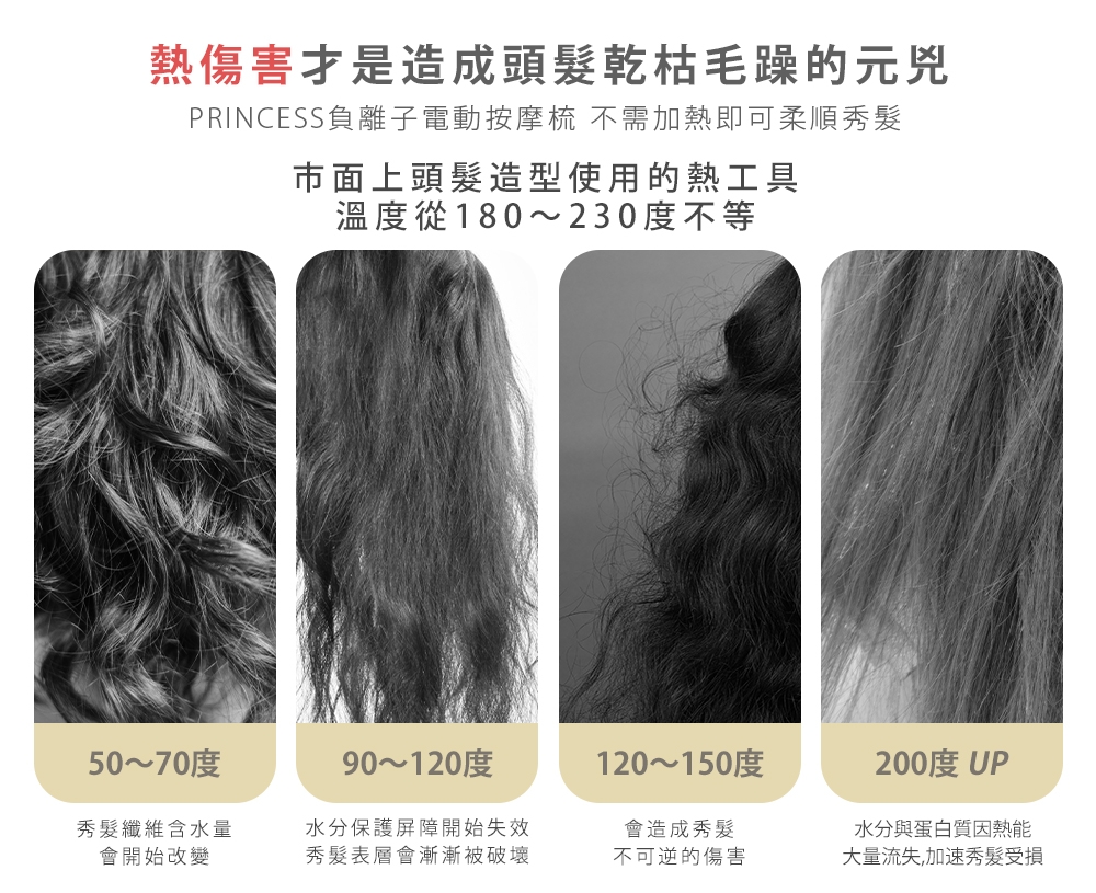 PRINCESS荷蘭公主 529431 - 詳情11