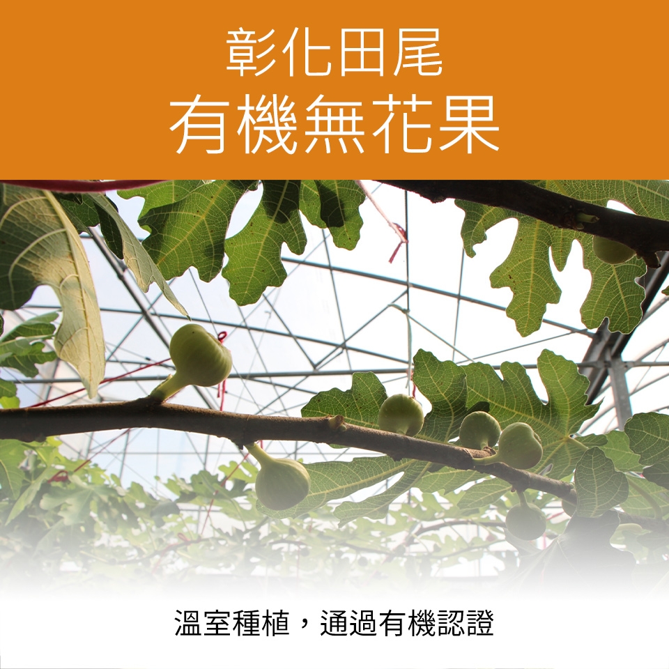 一籃子》彰化田尾有機無花果(1斤/箱) | 其他水果| Yahoo購物中心