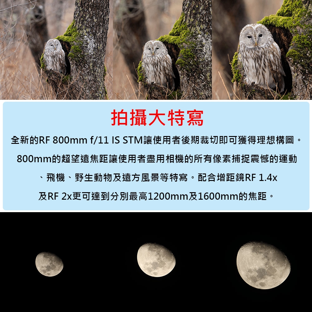 Canon佳能 RF 800mm f/11 IS STM - 詳情2