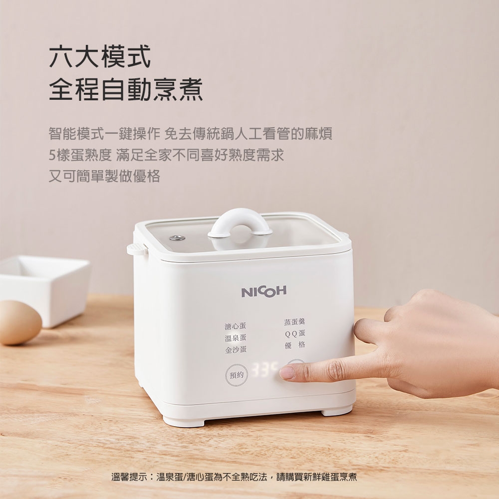 NICOH NEG-05 - 詳情9