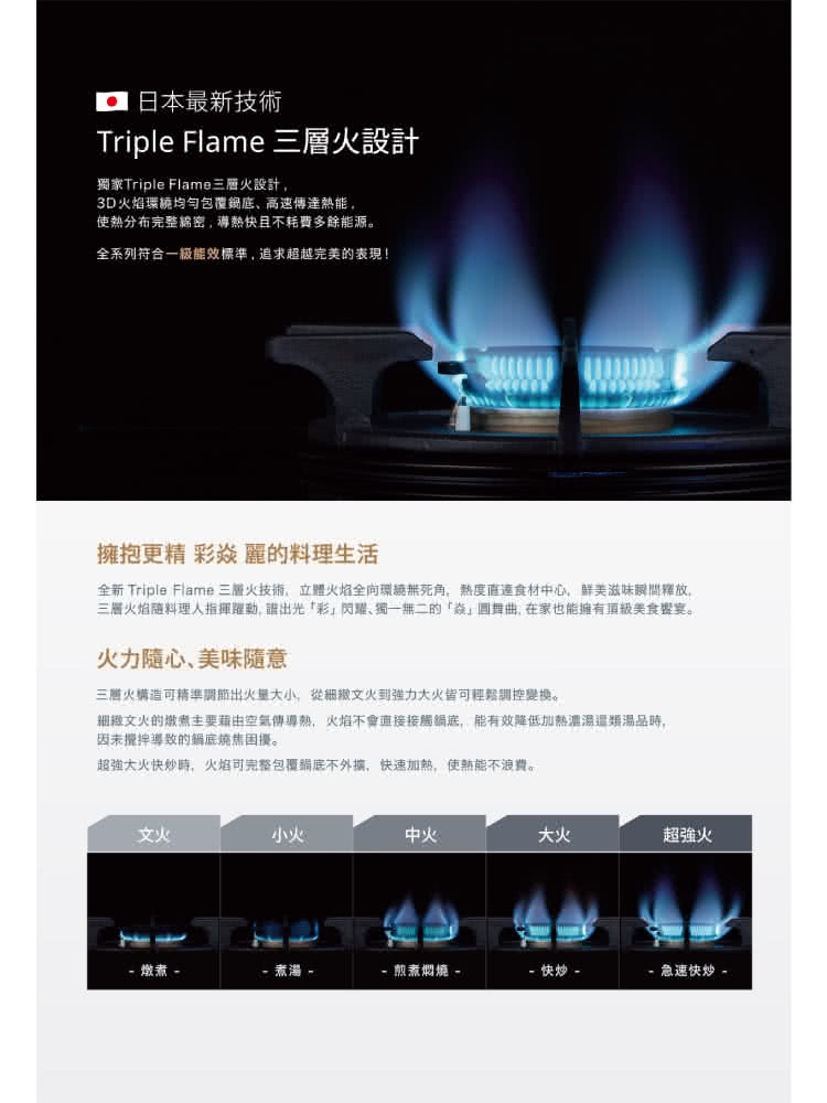 Rinnai林內牌 RB-L2700S - 詳情9