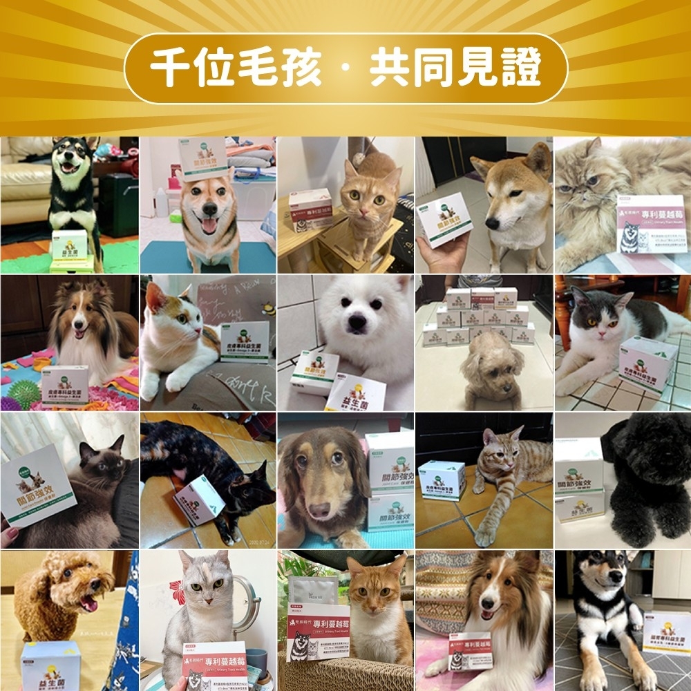 效千位毛孩·共同見證 蔓越莓 專利蔓越節節強效強效 專利蔓越