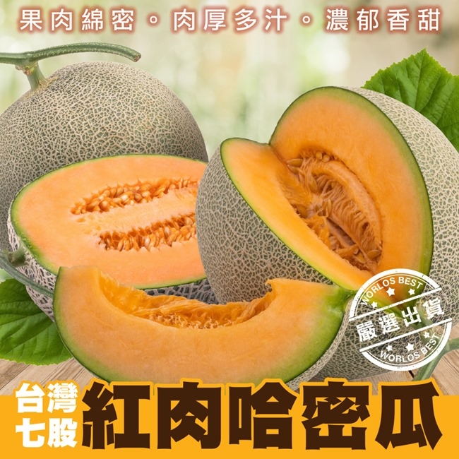 DCE2A33718-SP-16323144.jpg