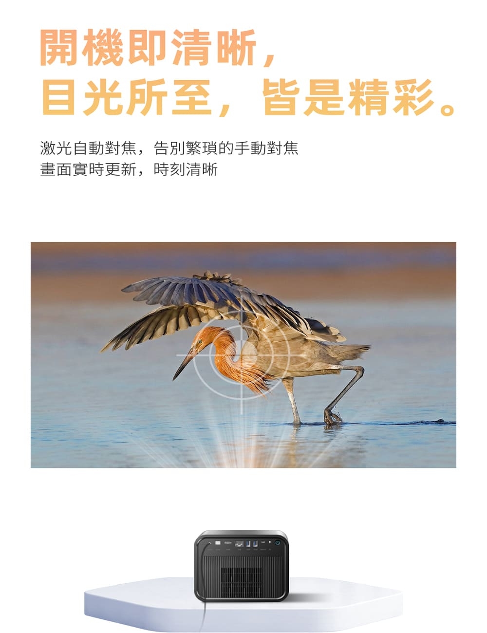 wondermax SS8-K - 詳情11