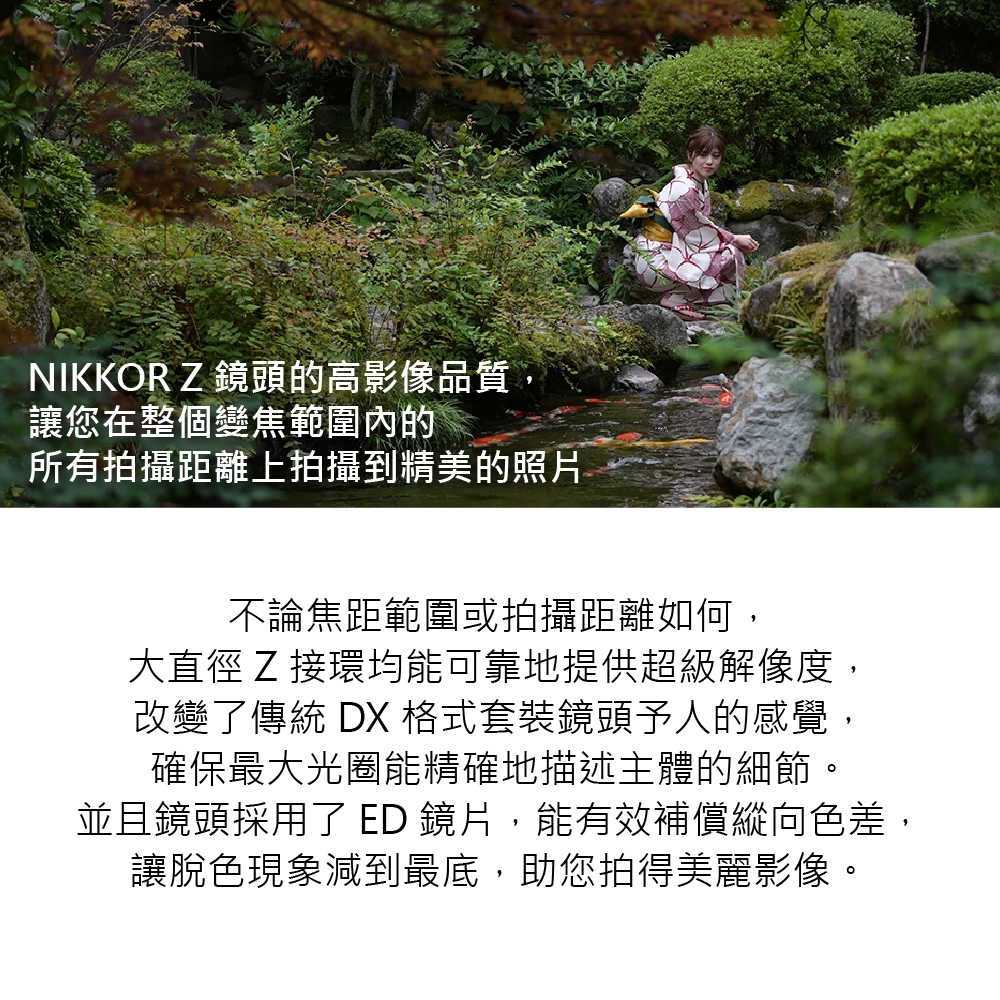 Nikon尼康 Z DX 50-250mm F/4.5-6.3 VR - 詳情5