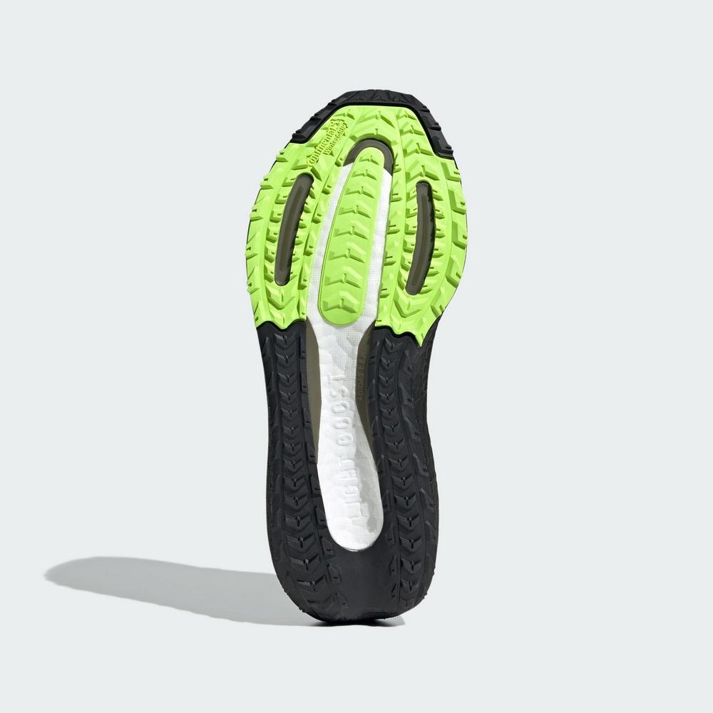 adidas gazelle silver green womens adidas Ultra Boost 5 GORE-TEX Women Running Shoes main image 0