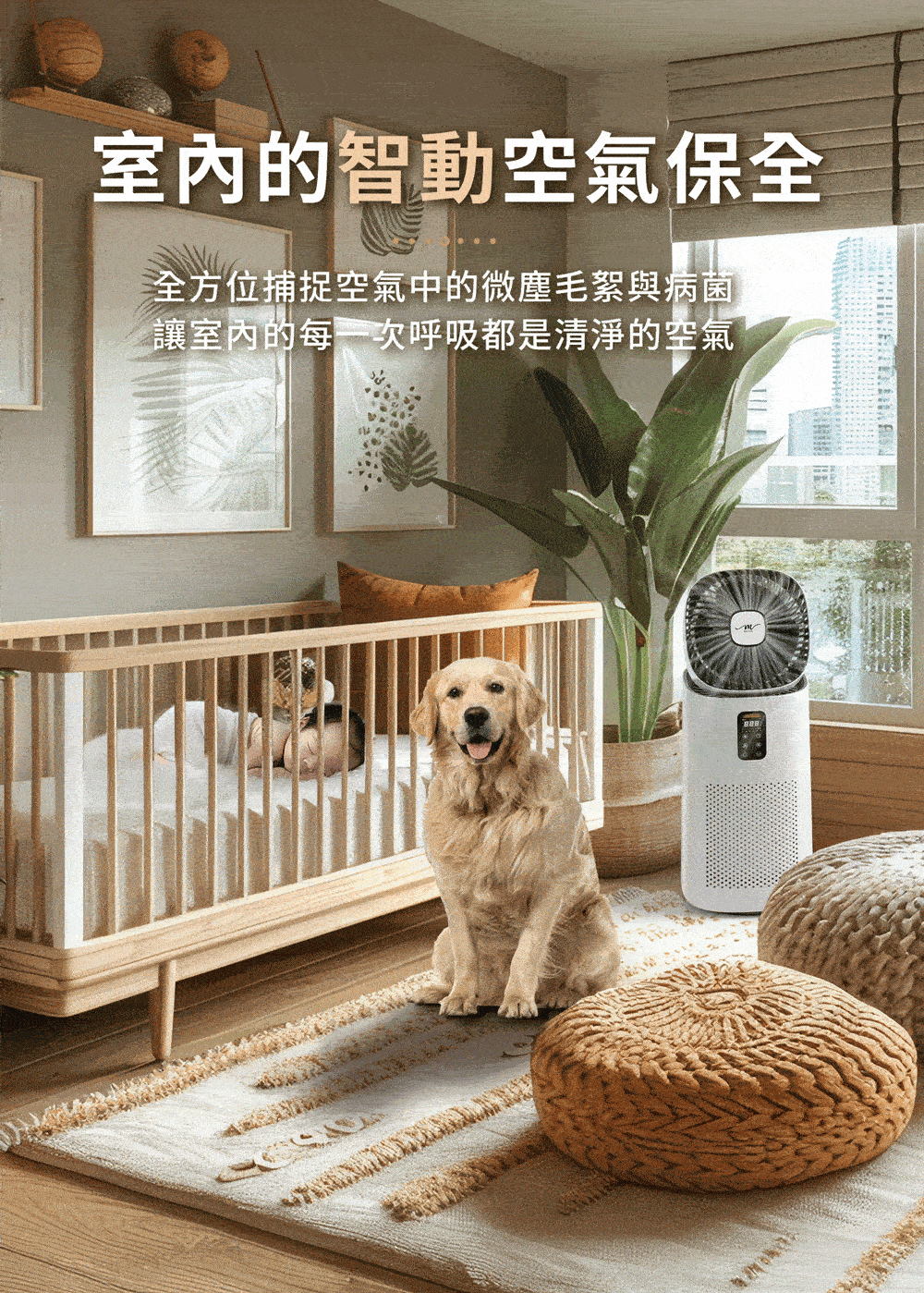 MOLIJIA魔力家 BY010096 - 詳情30