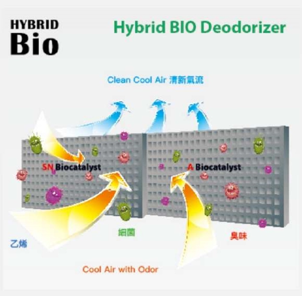 TOSHIBA東芝 GR-B31TP - 詳情7