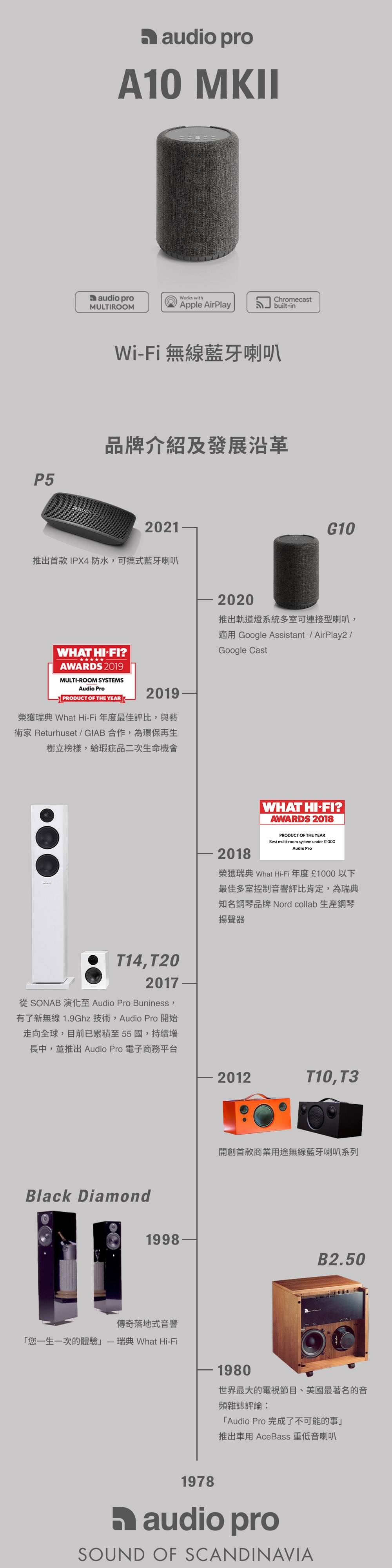 audio pro A10 MKII - 詳情5