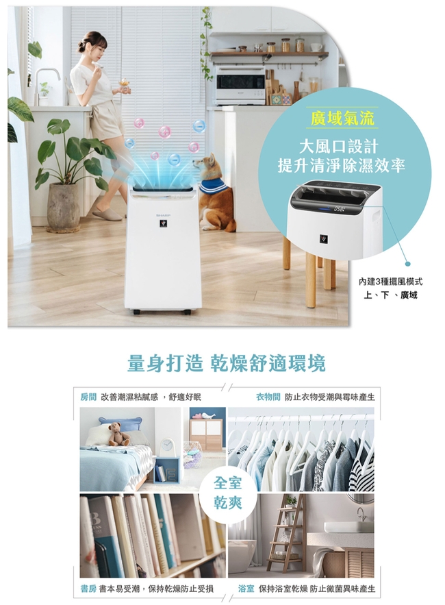 SHARP夏普 DW-PA12FT-D - 詳情10