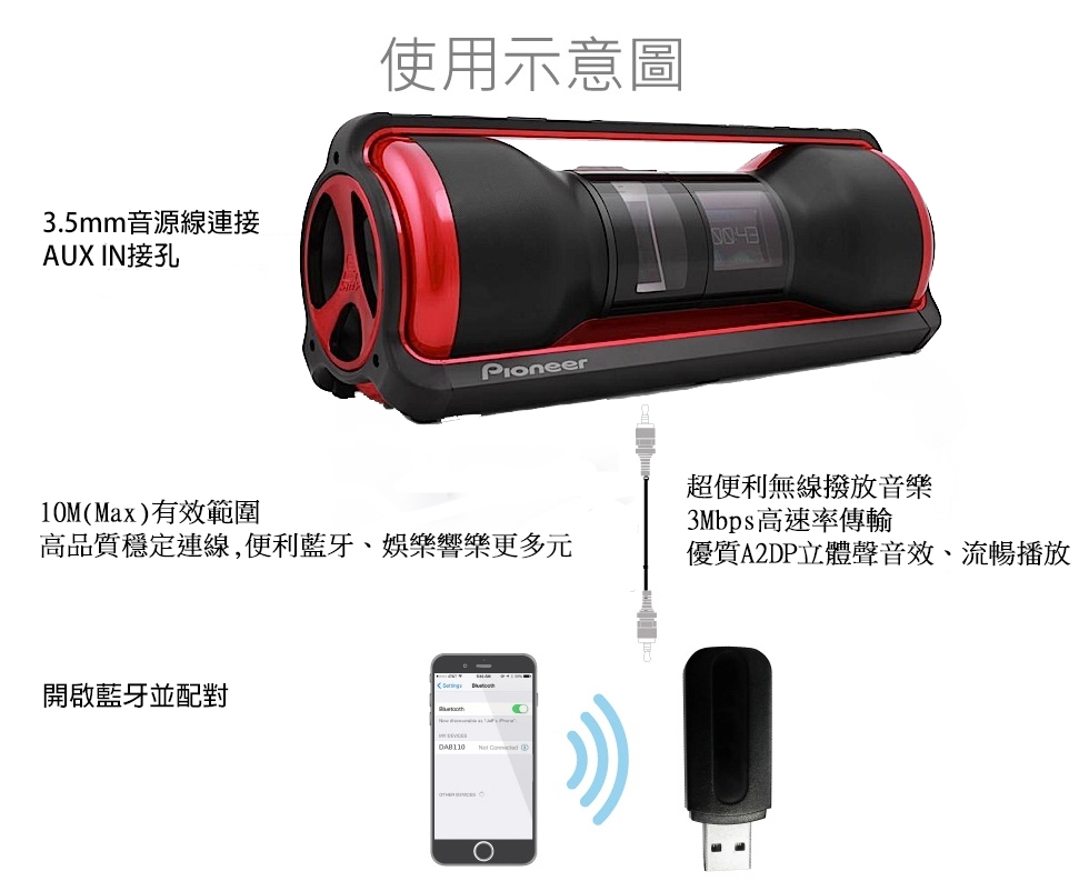 Pioneer先鋒 STZ-D10Z-R - 詳情11