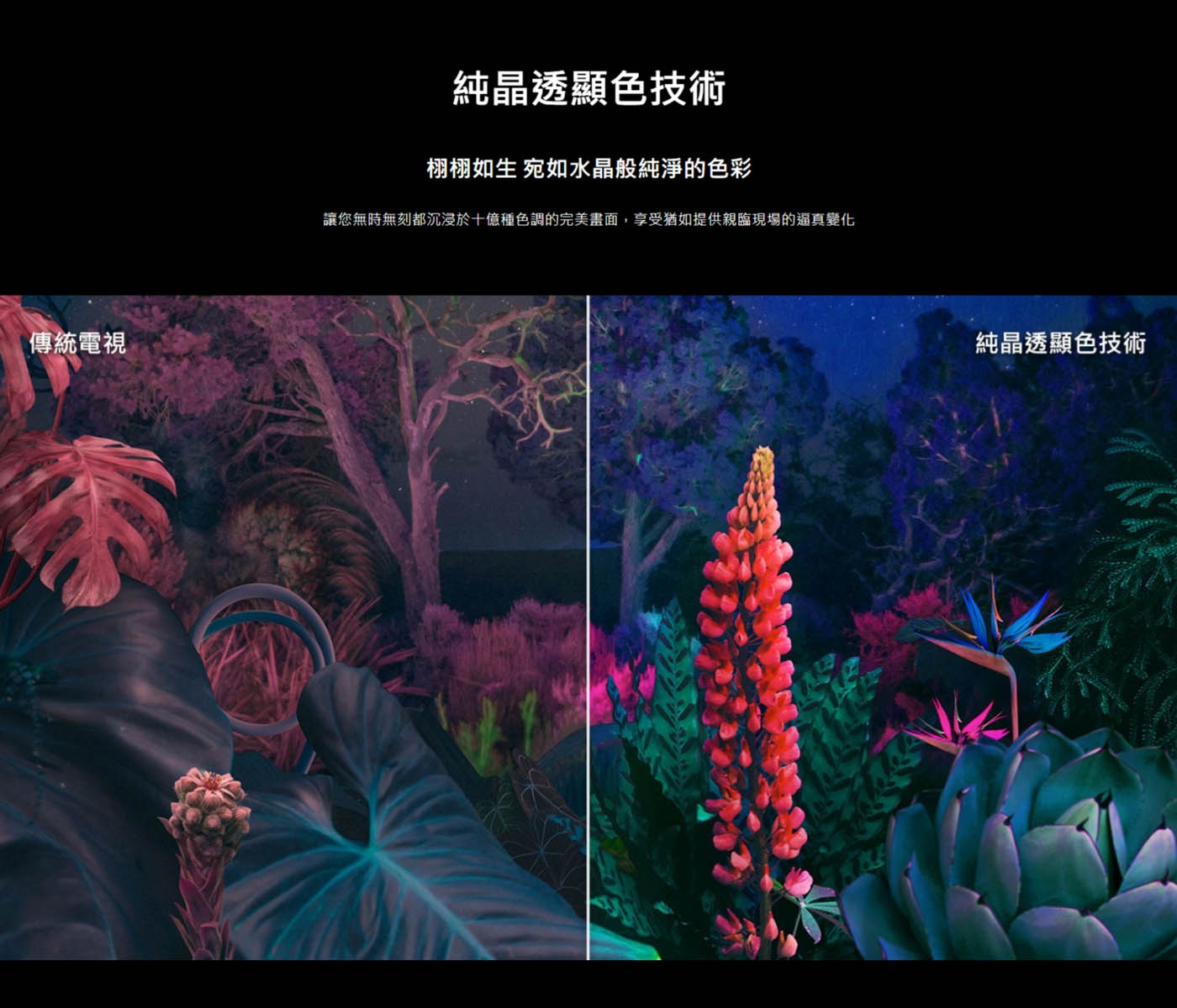 SAMSUNG三星 UA75CU8000XXZW - 詳情23