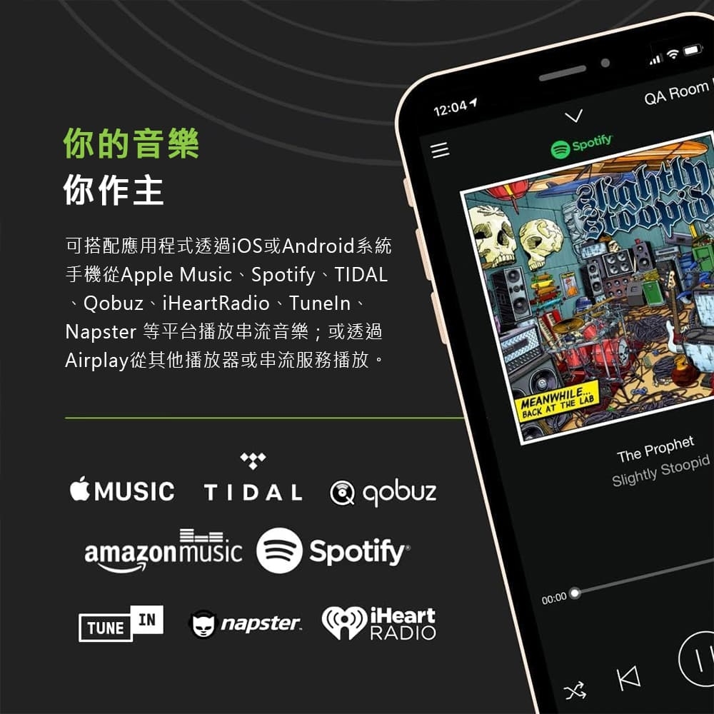 Audioengine B-Fi - 詳情9