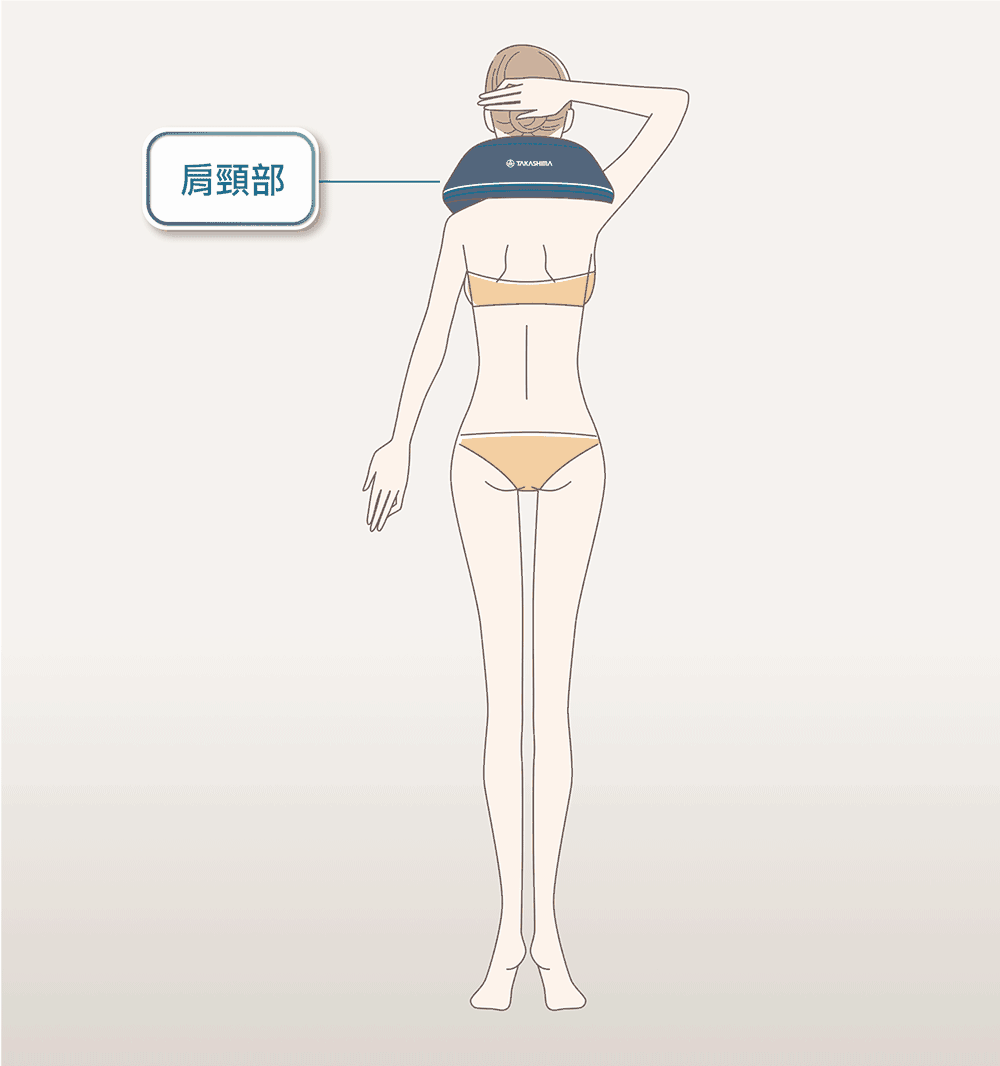 TAKASHIMA高島 M-6182 - 詳情13