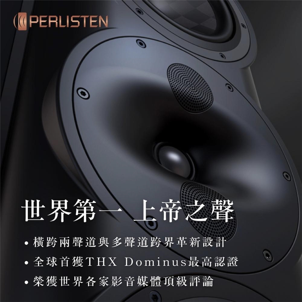 PERLISTEN AUDIO D12s - 詳情5