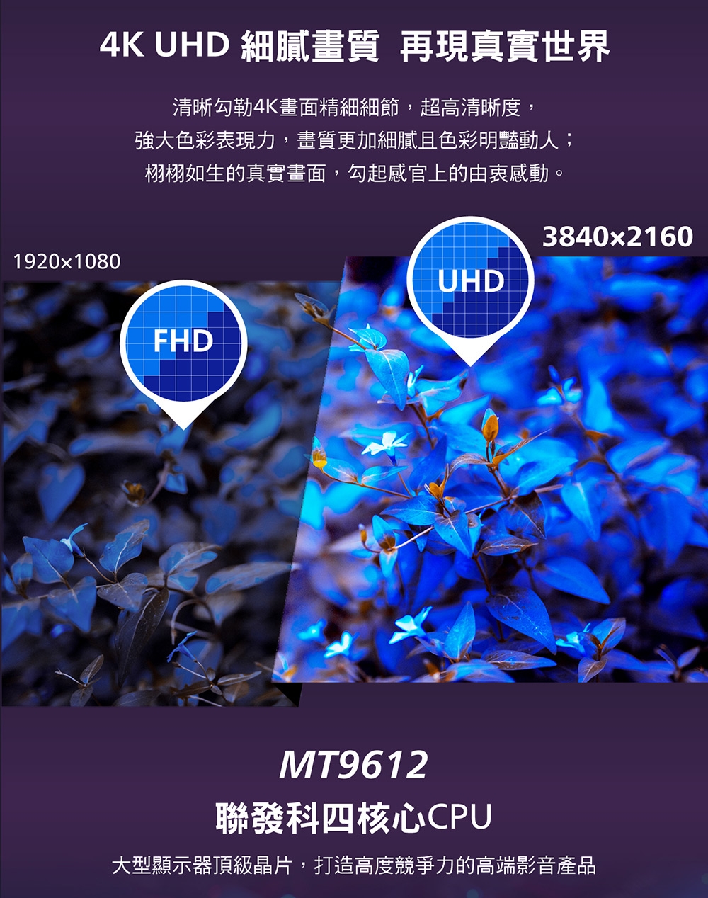 PHILIPS飛利浦 70PQT8169 - 詳情14