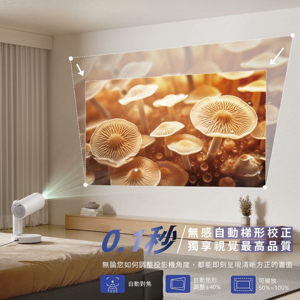 ETOE翼拓 Starfish - 詳情26