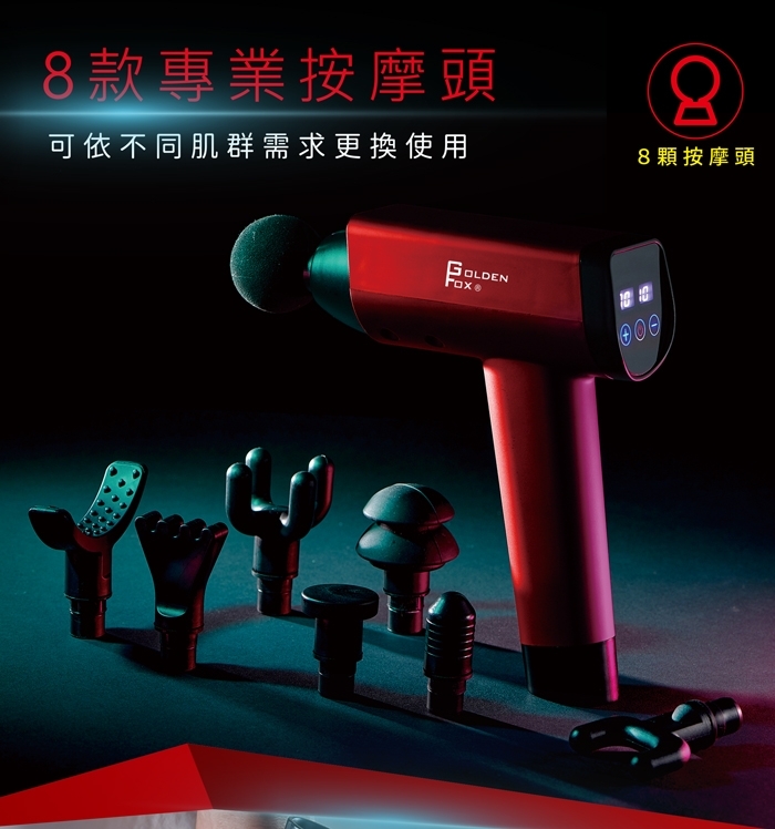 GOLDEN FOX GF-916 - 詳情17