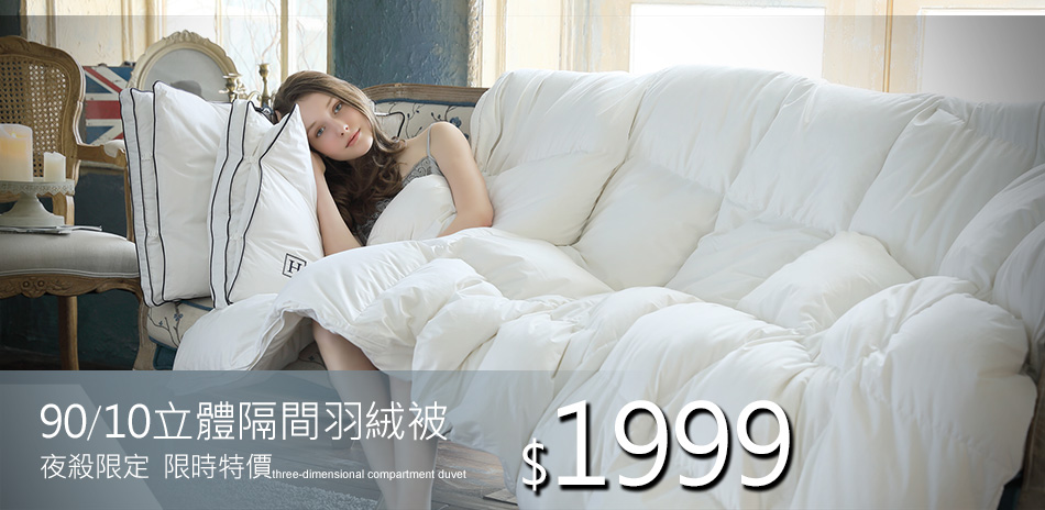 HOYACASA 羽絨被一件1999