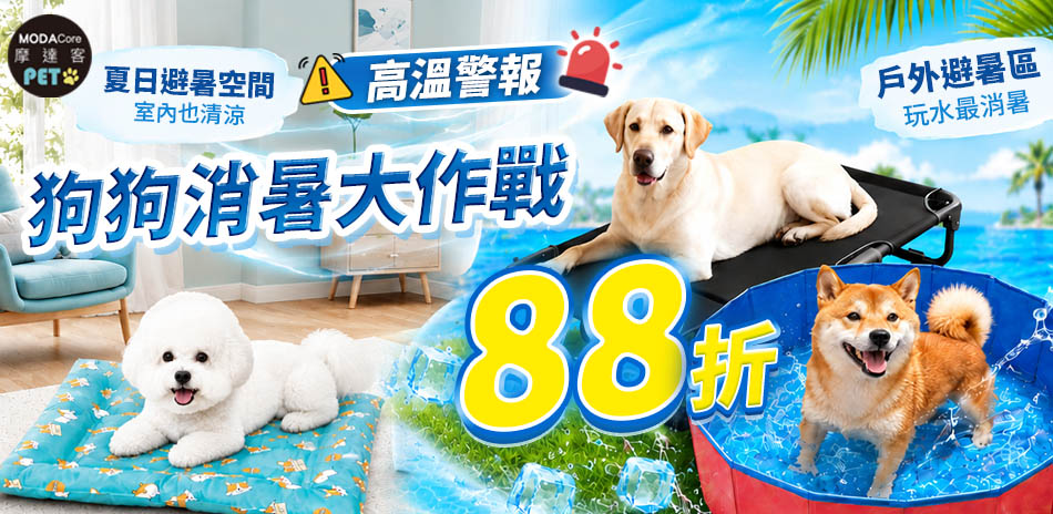 萌寵消暑大作戰