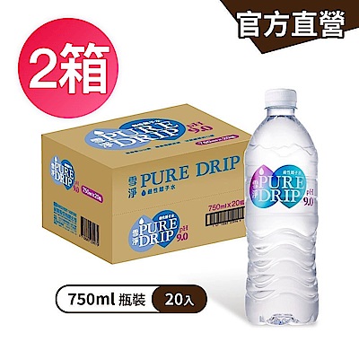 【金車】雪淨鹼性離子水750mlx20罐/箱 x2箱